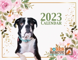 TBRO 2023 Calendar